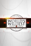 Poster for World's Wildest Police Videos