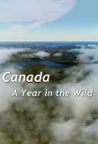 Poster for A Year in the Wild