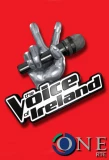 Poster for The Voice of Ireland