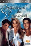 Poster for Cañaveral de pasiones