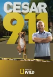 Poster for Cesar 911