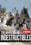 Poster for The Indestructibles
