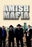 Poster for Amish Mafia