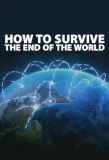 Poster for How to Survive the End of the World