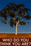 Poster for Who Do You Think You Are?