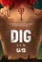Poster for Dig