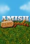 Poster for Amish Renogades