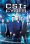 Poster for CSI: Cyber