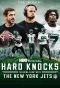 Poster for Hard Knocks