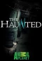 Poster for The Haunted