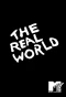 Poster for The Real World