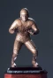 Poster for Bronko Nagurski Awards
