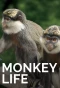 Poster for Monkey Life