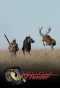 Poster for Eye of the Hunter