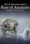 Poster for David Attenborough's Rise of Animals