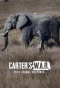 Poster for Carter's W.A.R. (Wild Animal Response)