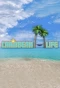Poster for Caribbean Life
