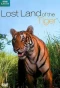 Poster for Lost Land of the Tiger
