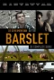 Poster for De geheimen van Barslet