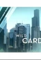 Poster for Wild Card