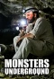 Poster for Monsters Underground