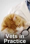 Poster for Vets in Practice