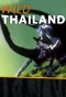 Poster for Wild Thailand
