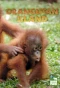 Poster for Orangutan Island