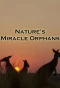 Poster for Nature's Miracle Orphans