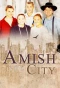 Poster for Amish in the City