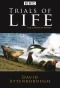 Poster for The Trials of Life: A Natural History of Behaviour
