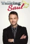 Poster for Talking Saul