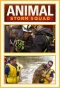 Poster for Animal Storm Squad