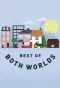 Poster for Best of Both Worlds