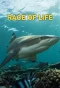 Poster for Race of Life