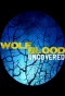 Poster for Wolfblood Uncovered