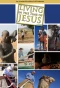 Poster for Living in the Time of Jesus
