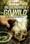 Poster for Medicine Men Go Wild