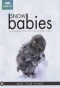 Poster for Snow Babies