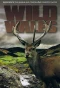 Poster for Wild Wales