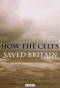Poster for How the Celts Saved Britain