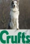 Poster for Crufts