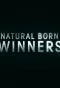 Poster for Natural Born Winners