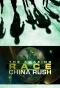 Poster for The Amazing Race: China Rush