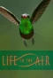 Poster for Life in the Air