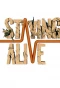 Poster for Staying Alive