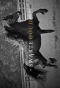Poster for It Swarte Goud