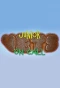 Poster for Junior Vets on Call