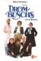 Poster for Diese Drombuschs