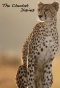 Poster for The Cheetah Diaries